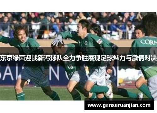 东京绿茵迎战新泻球队全力争胜展现足球魅力与激情对决