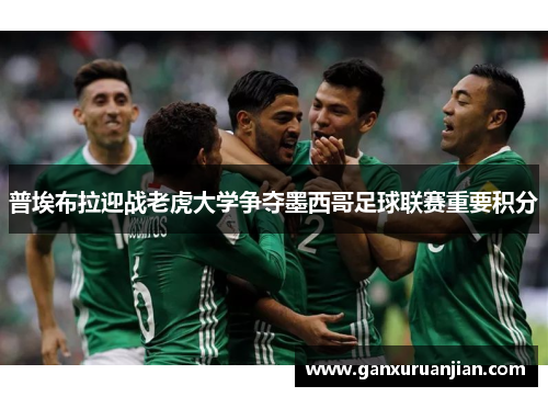普埃布拉迎战老虎大学争夺墨西哥足球联赛重要积分